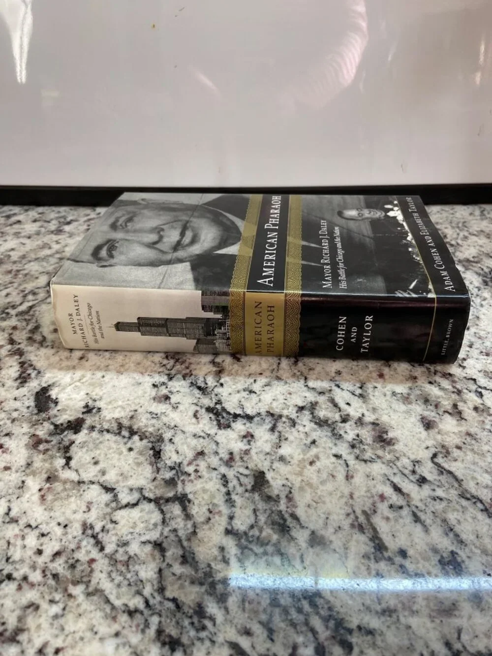 American Pharaoh Richard J Daley Chicago 2000 1st Edition HC DJ Cohen Taylor